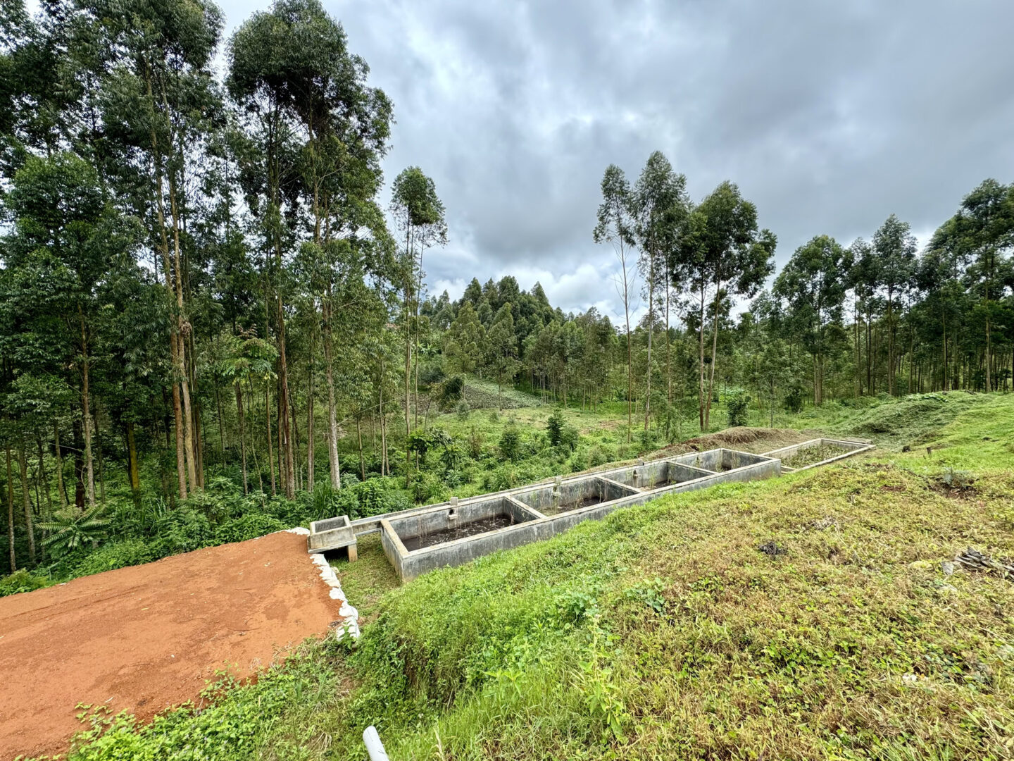 Climate banner